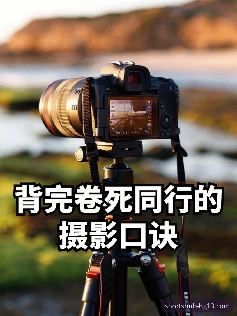最新hg13体育玩家评价 hg13体育平台实战评价:玩家实用技巧与必备知识